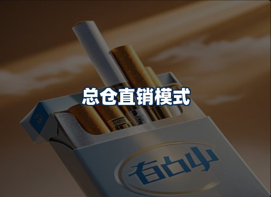 专业团队办公环境